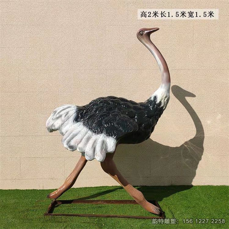 鴕鳥(niǎo)1