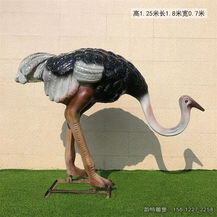 鴕鳥(niǎo)2